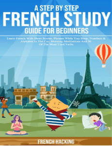 Rich Results on Google's SERP when searching for 'A Step By Step French Study Guide Book'