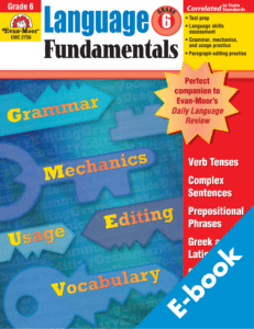 Rich Results on Google's SERP when searching for 'Language Fundamentals Workbook 6'