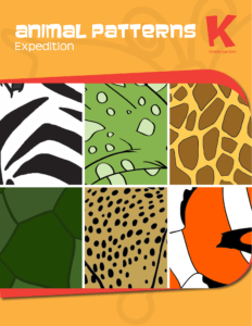Rich Results on Google's SERP when searching for 'Animal Patterns Expedition Kindergarten Workbook'