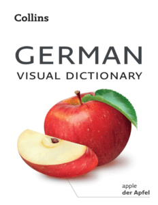 Rich Results on Google's SERP when searching for 'Collins German Visual Dictionary Book'