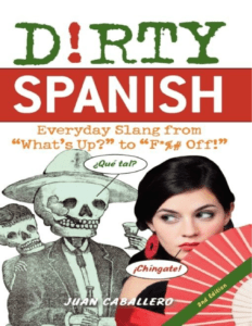 Rich Results on Google's SERP when searching for 'Dirty Spanish Everyday Slang Book'